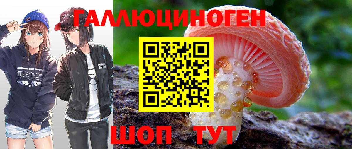 Псилоцибиновые грибы MAGIC MUSHROOMS  Вход с VPN  Тосно 